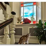 Strawberry House Bed & Breakfast