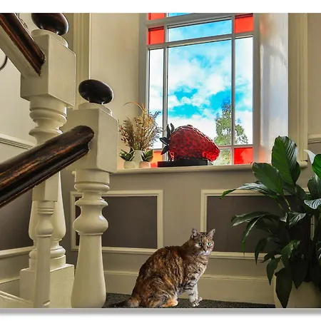 Strawberry House Bed and breakfast