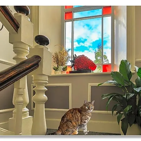 Strawberry House Bed & Breakfast 4*