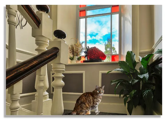 Strawberry House Bed & Breakfast